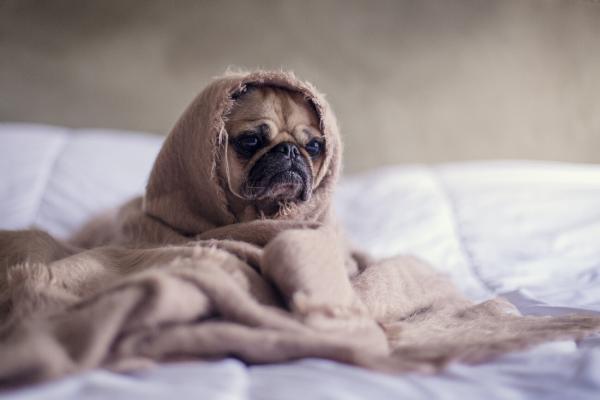 Mes conseils pour trouver le sommeil 7 Mes conseils pour trouver le sommeil