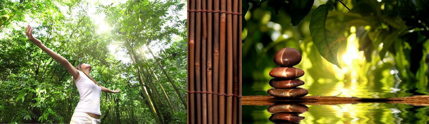 happy health mate sauna infrarouge